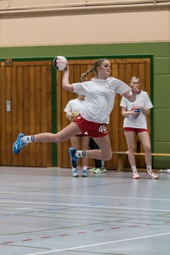 Bild 118 - Damen HSG Kremperheide/M�nsterdorf - Suchsdorfer SV : Ergebnis: 39:22